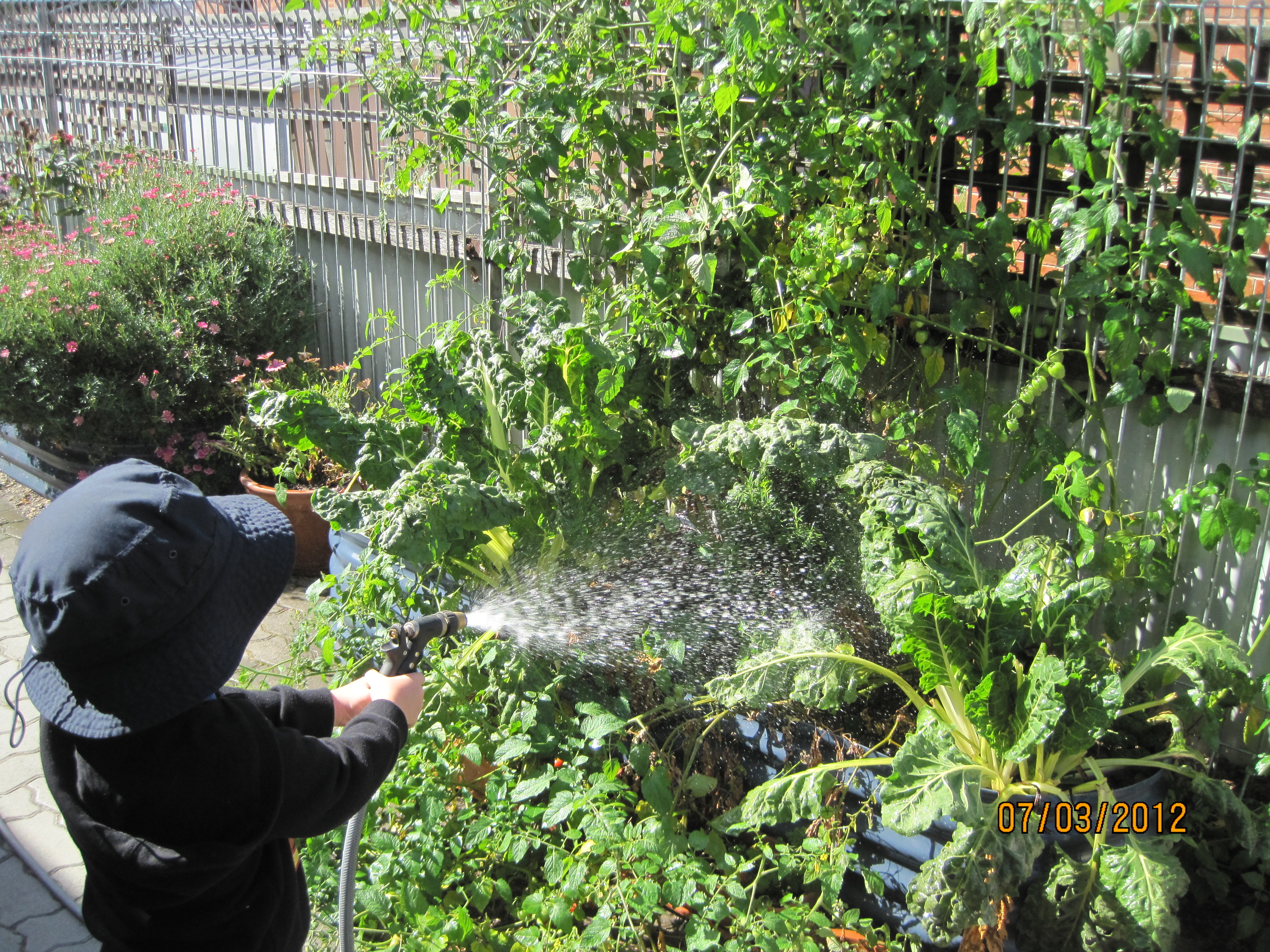 DMP Child Care Association Inc